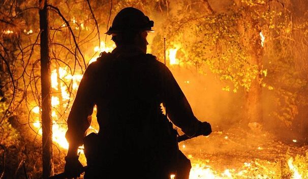 incendie-de-fore%cc%82t